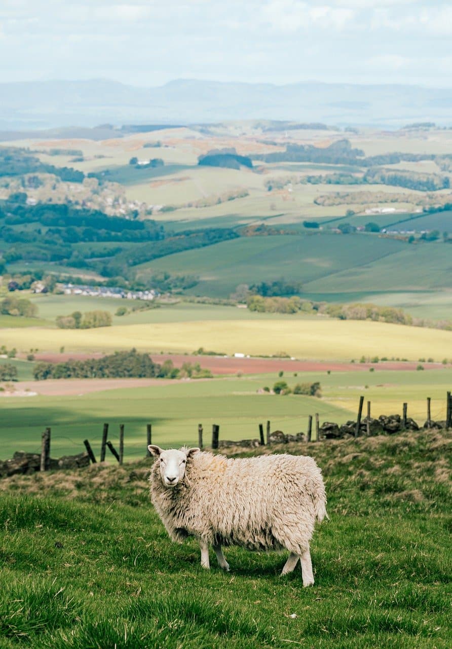 Scotland